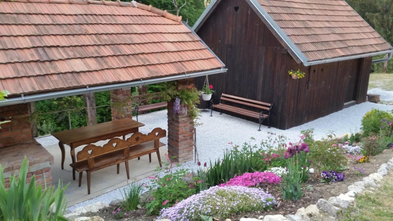 Hiza Golubic Villa Vinica ภายนอก รูปภาพ